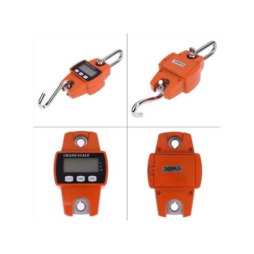 Balance Peson électronique 300kg