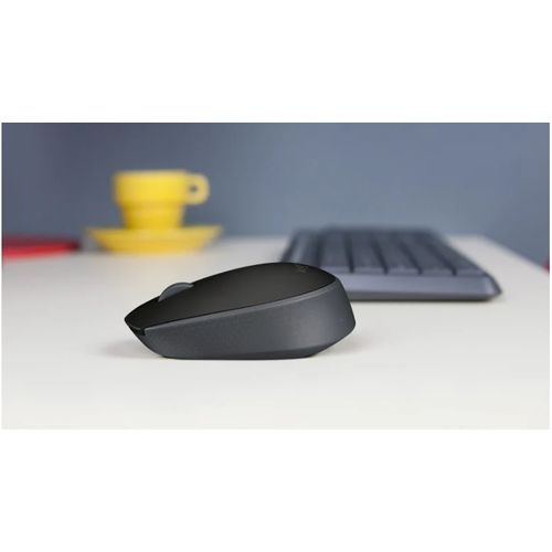 Souris compact et sans fil M171