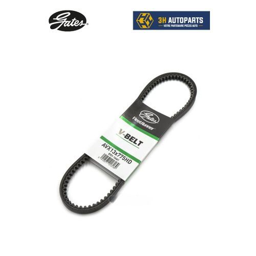 Courroie Trapézoïdale à Nervures (AVX13X775HD) - HYUNDAI / JAGUAR / KIA / NISSAN / DAIHATSU / SEAT