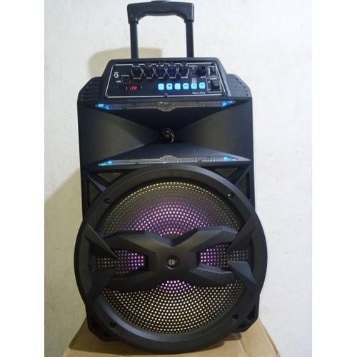 Enceinte Bluetooth Portable + 2 Micros New Modèle 2020