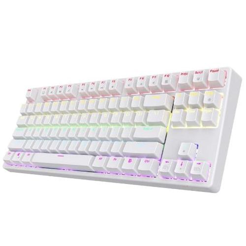 Clavier mécanique gaming AK87 RGB TKL Interrupteurs bleus remplaçables à chaud Rétroéclairage RGB Disposition anglaise 87 touches Clavier filaire USB pour joueurs PC Windows Blanc