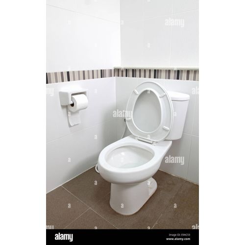 Siège De Toilette Allongés