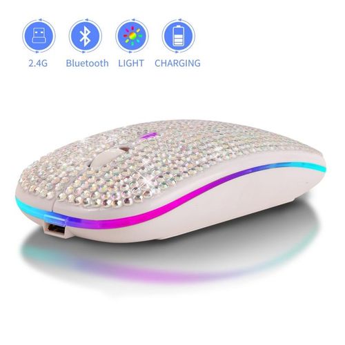 Souris Sans Fil Bluetooth + 2.4G Argent