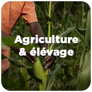 FL_ALL_CAT_AGRI