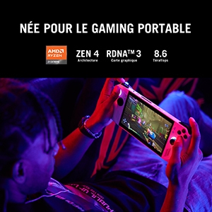 Rog Ally Performance