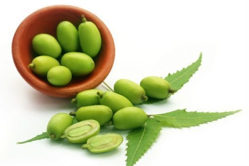 Huile de neem Huile de neem