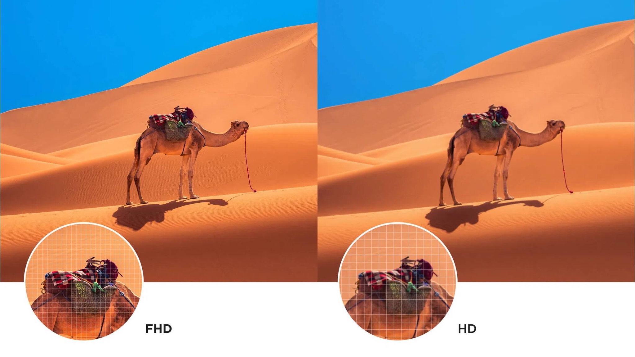 Écran Full HD TCL S5K