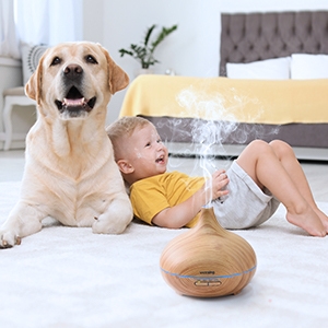 Diffuseur Huiles Essentielles