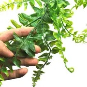 1pc artificial hanging ivy wall mounted artificial fern home office green plant vine wall plant wedding party plastic plant decor without a hook details 2