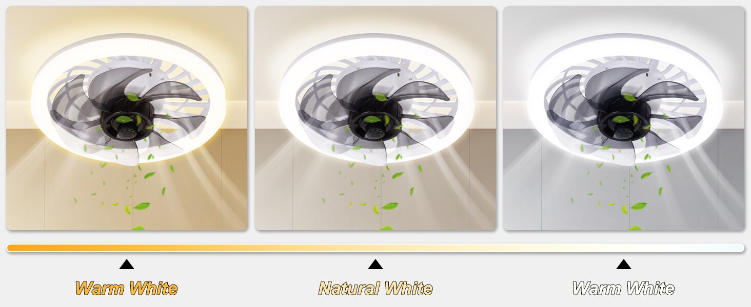ventilateurs de plafond avec éclairage