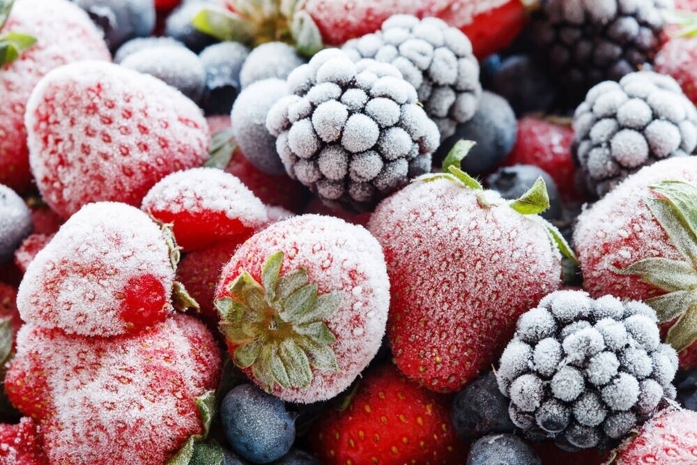 Image result for aliments congélés