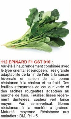 1617183780-epinard.jpg