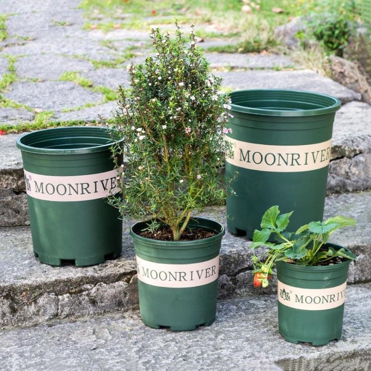 Pot de pépinière durable en plastique pour extérieur de 1,5 gallon, pour la culture des plantes