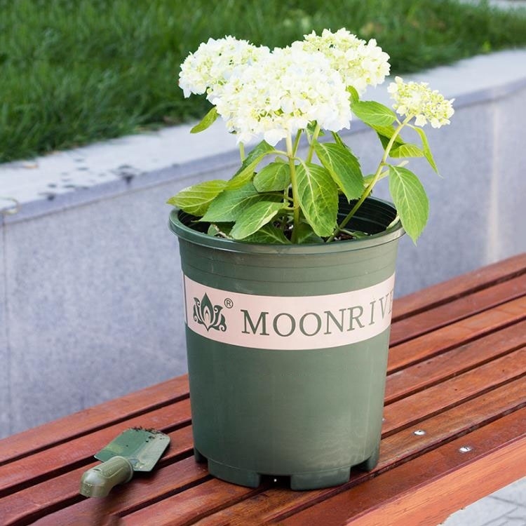 Pot de pépinière durable en plastique pour extérieur de 1,5 gallon, pour la culture des plantes