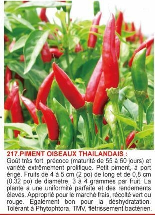 1617188436-piment-thaillandais.jpg