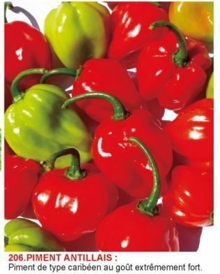 1617188209-piment-antillais.jpg