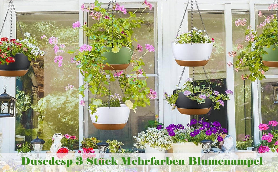 Plusieurs jardinières suspendues décoratives avec des fleurs colorées, disposées sur une fenêtre ou un mur, composées de contenants blancs et bruns contenant des plantes fleuries.