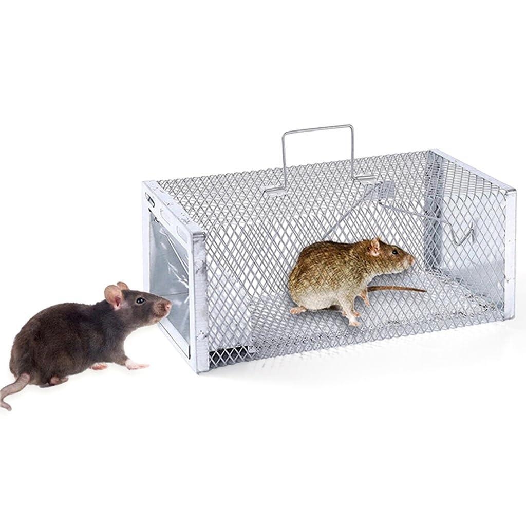https://ci.jumia.is/cms/external/pet/GE070IP1B7ICJNAFAMZ/c4a43202918b17f00e305d39078da3f0.jpg