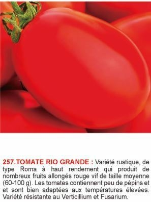 1617188916-tomate-rio-grande.jpg