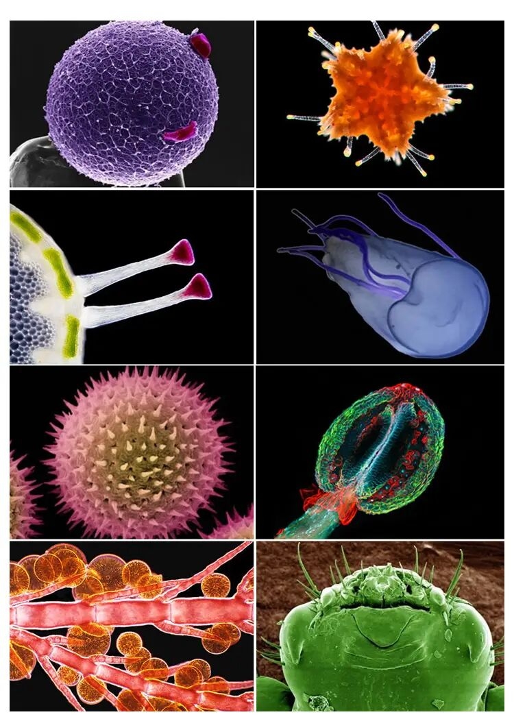 kids microscope kit science lab led 100 1200x biological microscope home school educational toys children optical instruments halloween christmas and thanksgiving day gift details 4