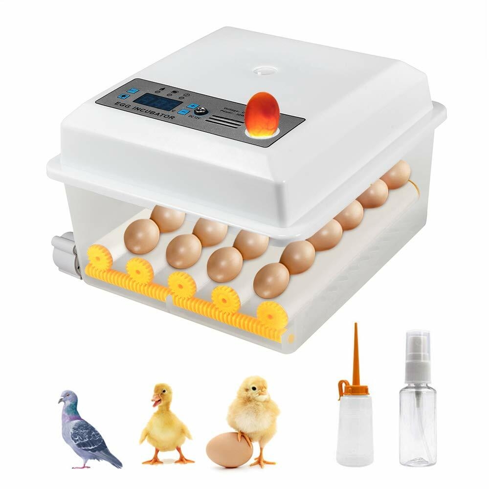 Incubateur D'oeufs Automatique Nettoyage Facile Couveuse De Poulet Pour  Caille