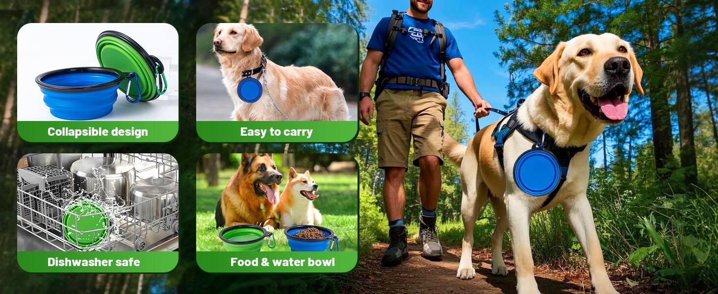 dog bowls water