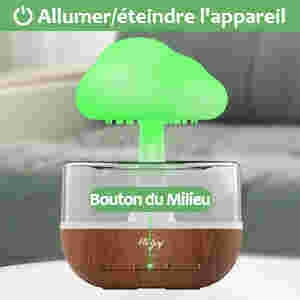 en forme de champignon avec dessus vert et base en grain de bois. Le texte français indique la fonction marche/arrêt et l'étiquette du bouton central