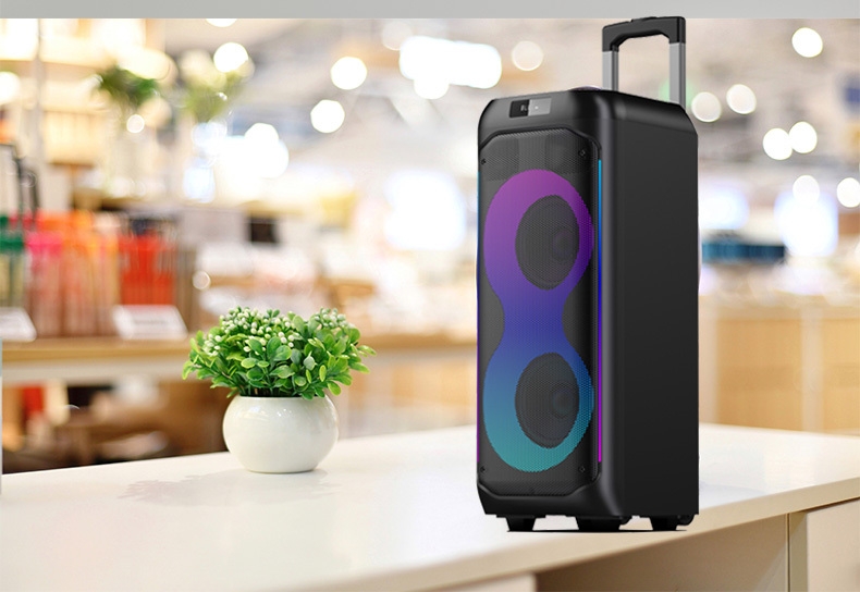 Double enceinte portable de karaoké pour cinéma maison, 6,5 pouces, rechargeable, avec LED RVB, microphone intégré, sans fil, pour téléphone portable