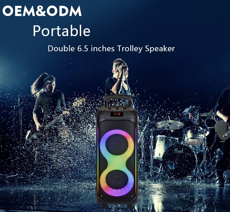 Double enceinte portable de karaoké pour cinéma maison, 6,5 pouces, rechargeable, avec LED RVB, microphone intégré, sans fil, pour téléphone portable