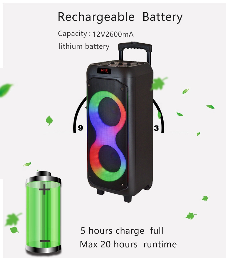 Double enceinte portable de karaoké pour cinéma maison, 6,5 pouces, rechargeable, avec LED RVB, microphone intégré, sans fil, pour téléphone portable