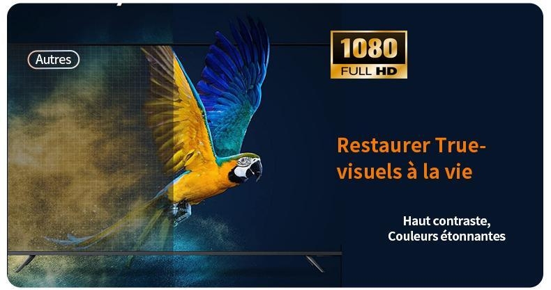 https://ci.jumia.is/cms/external/pet/LP787EA07IT8VNAFAMZ/9682046e82b08a6f9e3259d84545f809.jpg