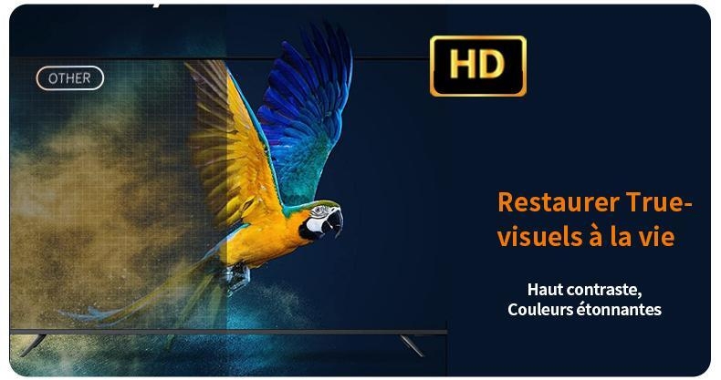 https://ci.jumia.is/cms/external/pet/LP787EA0NCURLNAFAMZ/dc8f47803f7170e05e696fcd36803647.jpg
