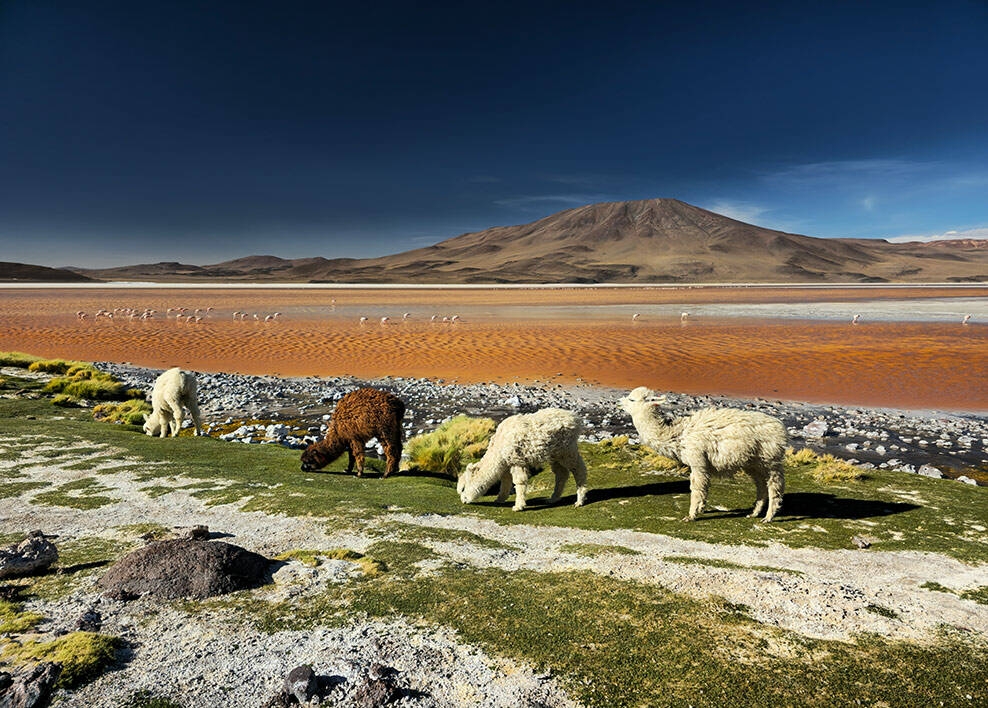 Une photo de paysage de 200 millions de pixels affiche des détails et des couleurs riches. Lorsqu’on regarde de plus près, les détails restent clairs.