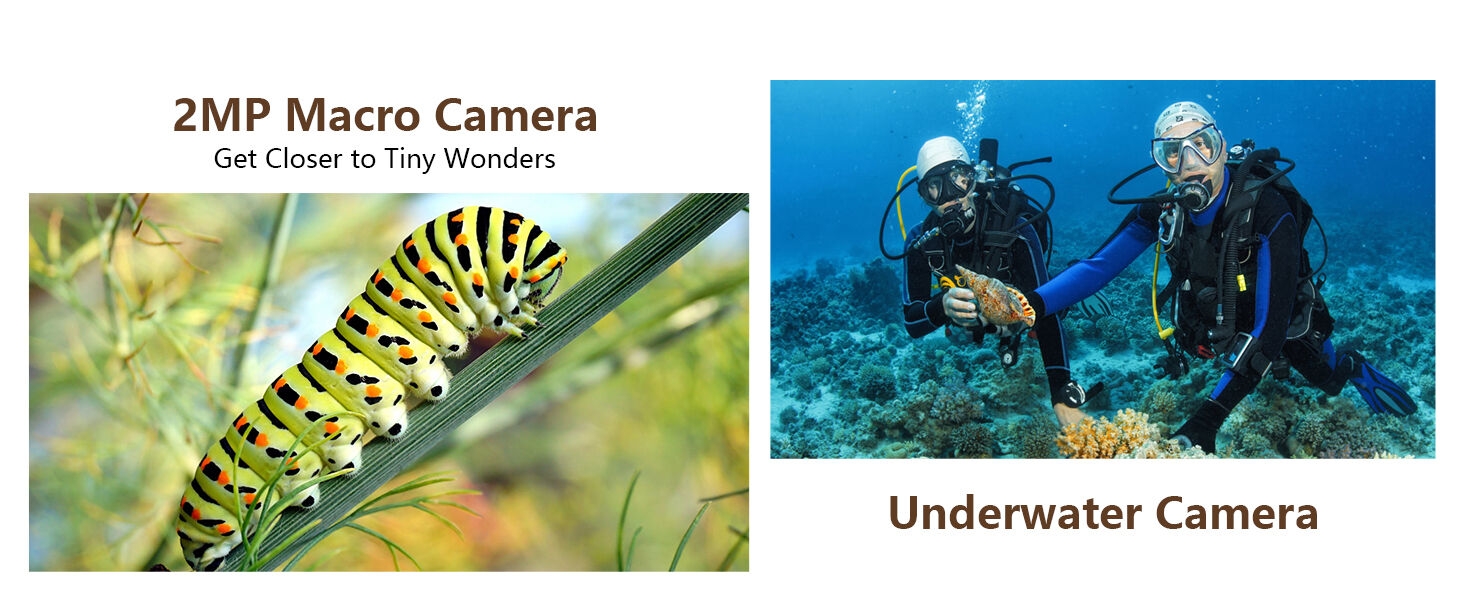 Texte : « Appareil photo macro 2 MP ». Image divisée montrant un gros plan détaillé d'une chenille verte et de plongeurs sous-marins avec leur équipement photo.