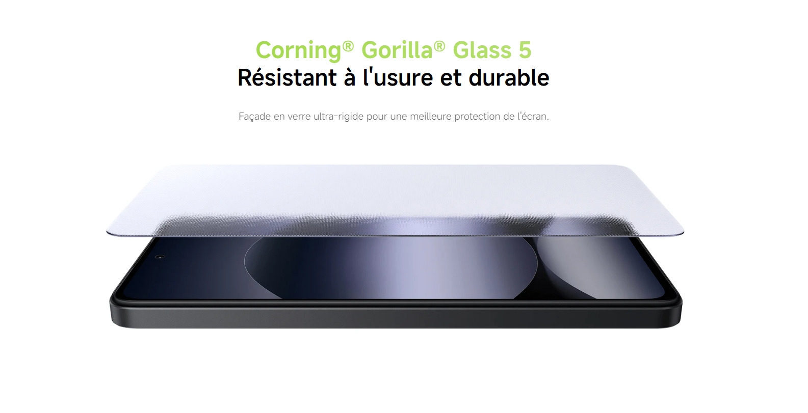 1738849807-gorilla.png