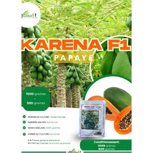 SEMENCE SOGEBA - PAPAYE KARENA F1 - 500 graines