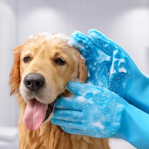 Gants de Toilettage Magiques en Silicone pour Chiens et Chats - Brossage, Massage et Bain - Anti-Grattage et Résistants