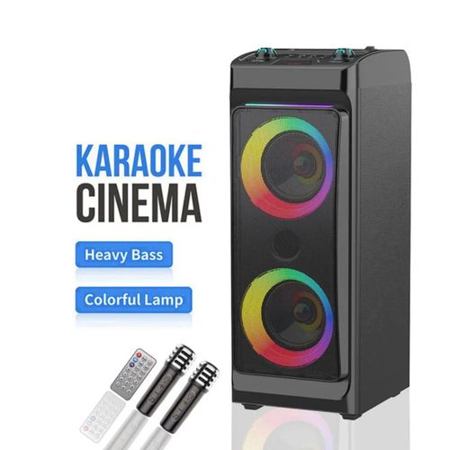 Enceinte Karaoké Bluetooth avec 2 Microphones, Télécommande et Éclairage LED