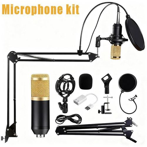 Kit de microphone professionnel avec support : diffusion en direct, enregistrement en studio et chant