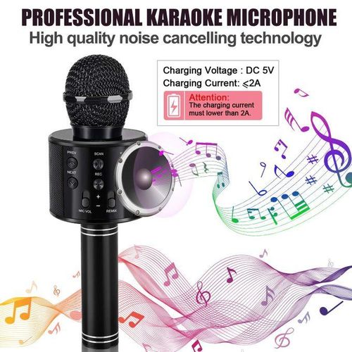 Microphone Avec Haut-parleurs /Enceinte
