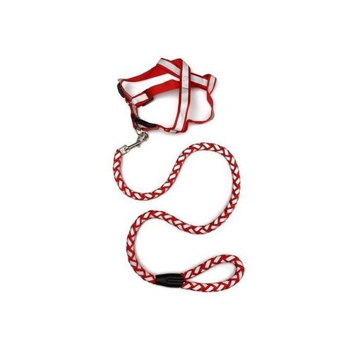 Chaîne De Corde De Sécurité De Chien