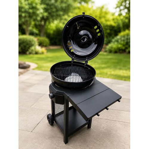 Grill Barbecue à Gaz