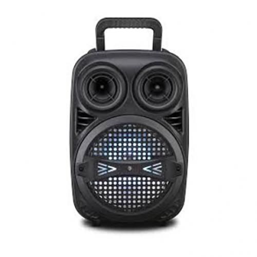 Haut-parleur Portable (basse 8 ", 1 Fil Micro) - JP-H9