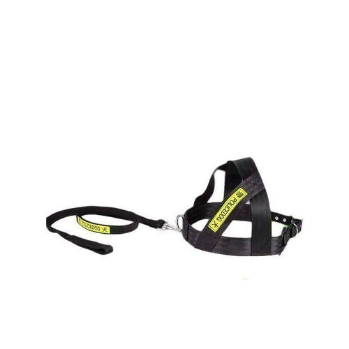 Harnais Tour De Poitrail + Laisse Pour Chien /Chiot