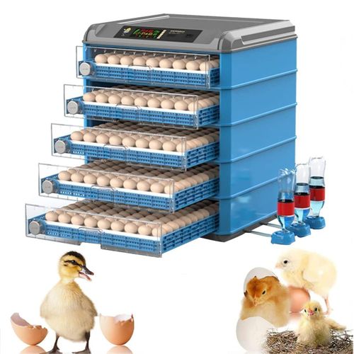 Couveuse automatique 500 oeufs