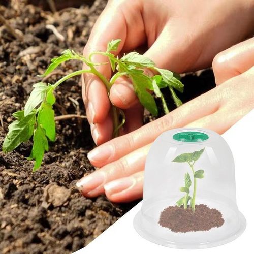 10pcs housses de protection pour jeunes plants, housses de protection pour plantes