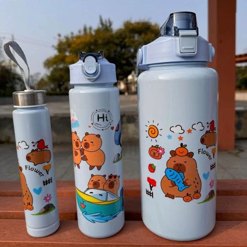 Pack de 3 gourdes (2L/1L/300ml)