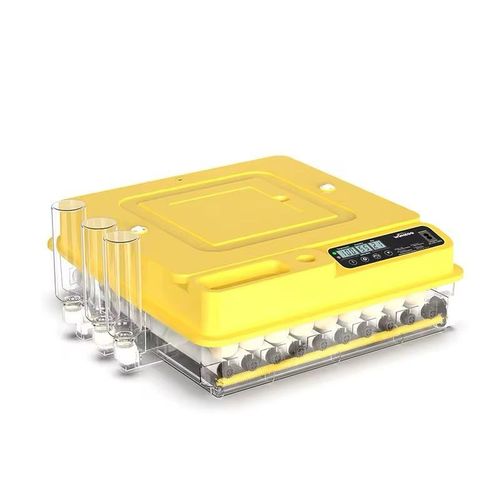 Couveuse automatique 70oeufs