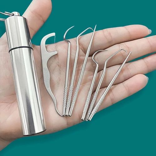Set de cure-dents réutilisables en acier inoxydable Outil d'enlèvement de tartre de fil dentaire Portable Dent Cleaner pour Dent Oral Clean