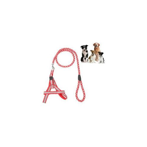 Chaîne De Corde De Sécurité De Chien